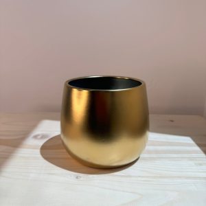 Matte Gold Ceramic Pot – Planter