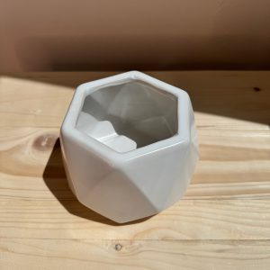 White Hexagon Ceramic Pot – Planter