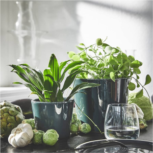 Dark Green Ceramic Pot – Planter