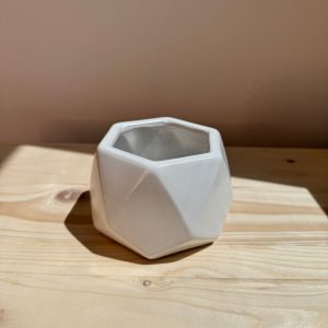 White Hexagon Ceramic Pot – Planter