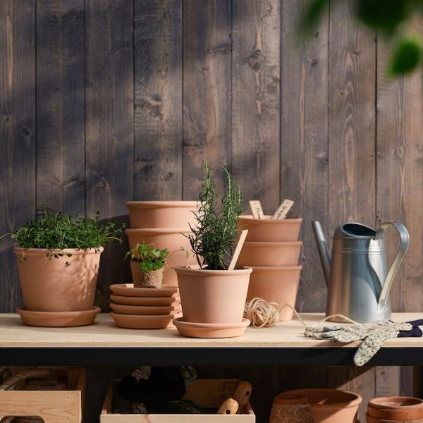 Terracotta Pot - Planter - Image 4