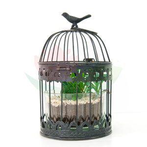 Arrangement -Succulent in Black Birdcage